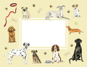 Alternative view of Doggies