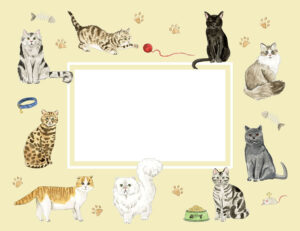 Alternative view of Cats